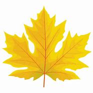 Image result for Grape Leaf Clip Art