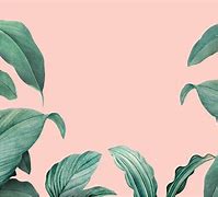 Image result for Pot Leaf Outline Background