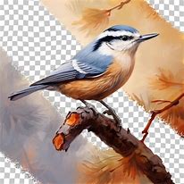 Image result for Drawing of a Bird On a Branch with a Colourful Background