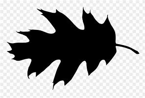 Image result for black leaf silhouette art