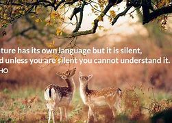 Image result for Nature of Language Image