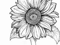 Image result for Sunflower Flower Coloring Pages