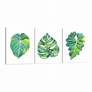 Image result for Botanical Theme Wall