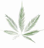 Image result for Leaf On Type Logo