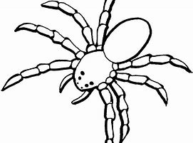 Image result for Cute Spider Outline