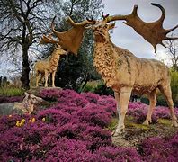 Image result for Irish Elk