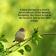 Image result for Bird Holding Branch