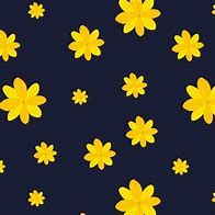 Image result for White Flower Branch with Dark Blue Background