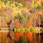 Image result for fall colors desktop background