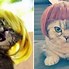 Image result for Funny Dogs with Wigs