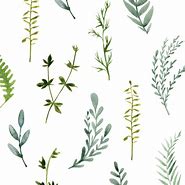 Image result for Botanical Wall Decals