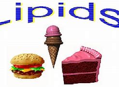 Image result for Lipids Food Drawing