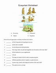 Image result for Ecosystem Worksheet