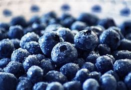 Image result for Blueberry Bush Fall