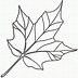 Image result for Pumpkin Stem and Leaf Template