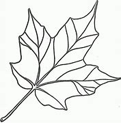 Image result for Leaf Drawing for Kids Coloring