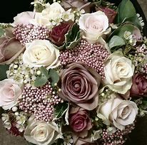 Image result for Dusty Rose Flowers Fresh Cut