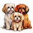 Image result for Pomeranian Dog Coloring Pages