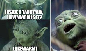 Image result for Funny Yoda Pictures