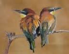 Image result for Silk Oil Painting of Birds in Tree