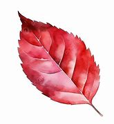 Image result for Leaf and Vine Stencils