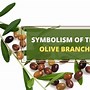 Image result for Olive Tree Branches Symbolism