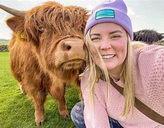 Image result for Scottish Highland Cow Drawing