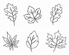 Image result for Fall Leaf Shapes Printable