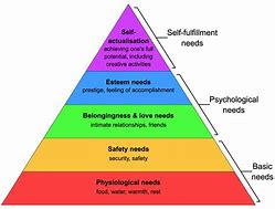 Image result for Modern Human Hierarchy Work-Class