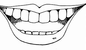 Image result for Smile Teeth Clip Art