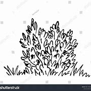 Image result for Bush Outline Clip Art