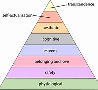 Image result for Psychology Pyramid of Needs