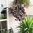 Image result for Small Townhouse Patio