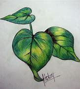 Image result for Leaf Pencil Drawing