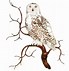 Image result for Owl On Branch Print Out