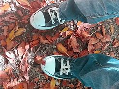 Image result for Fall Leaf Coloring Sheet