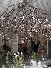 Image result for Tree Branch Chandelier