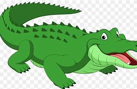 Image result for American Alligator Cartoon