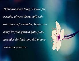 Image result for Practical Magic Love Quotes