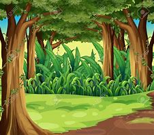 Image result for Jungle Tree with Vines