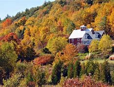 Image result for Fall Foliage in Pennsylvania