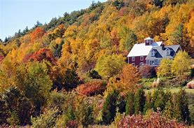 Image result for Massachusetts Fall Foliage