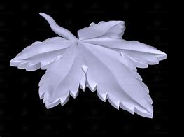 Image result for Leaf Spiral 3D Model