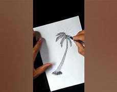 Image result for How to Draw Date Palm Tree