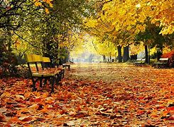 Image result for Autumn Wall Murals