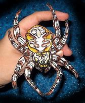 Image result for Cat-Faced Orb Weaver Spider