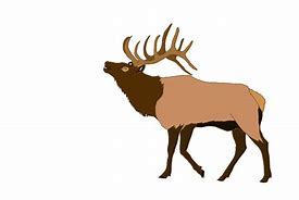 Image result for Irish Moose