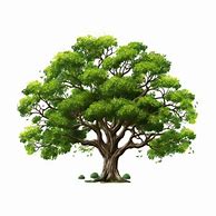 Image result for Big Tree Branch Icon