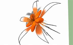 Image result for Colorado Columbine Flower