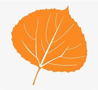 Image result for Aspen Leaf Clip Art